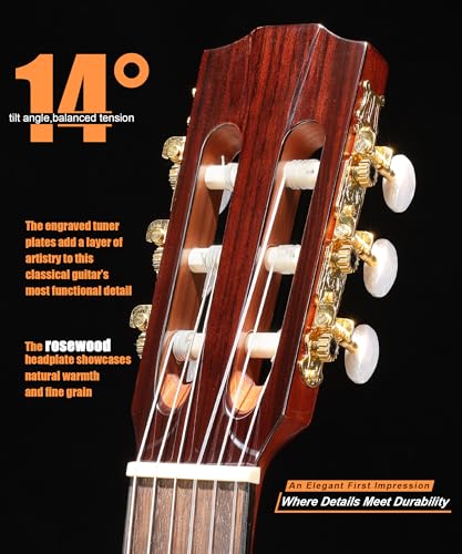 Image of AKLOT 39 inch Cutaway Classical Guitar: Spruce Top with Mahogany Back & Sides, Nylon Strings with Wound Bass Strings, Full Size Acoustic Classical Guitar Set with Bag, Tuner, Capo, Strings & Picks(BZ-SG)