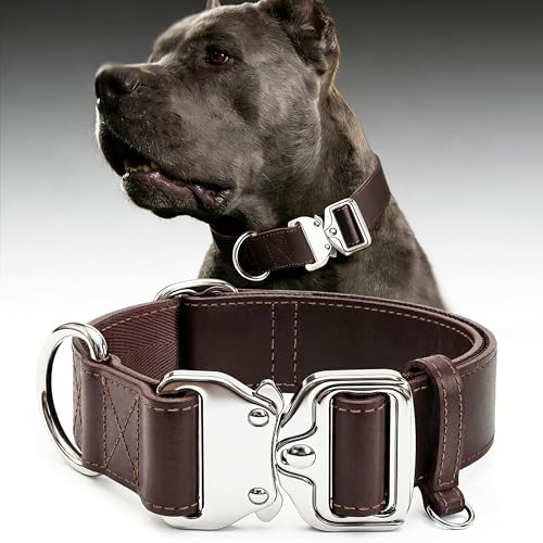 Leather Dog Collar 1.5in WideQuick-Release and Adjustable Design Bn-Sl-L