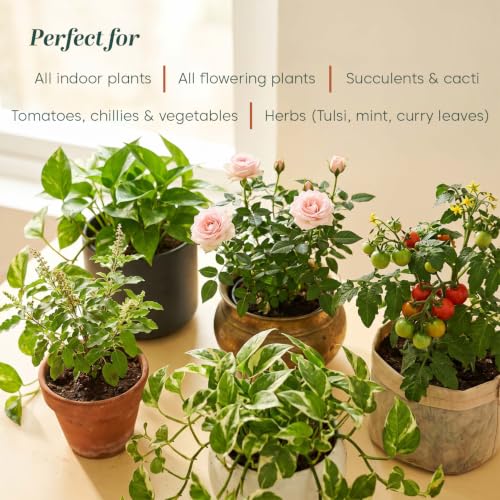 Image of Kyari Seaweed Extract Liquid Fertilizer 250 ml - Organic Plant Growth Booster for Home Garden, Indoor & Outdoor Plants, Potted Plants - Seaweed Plant Food - 100% Natural for Plant Parents