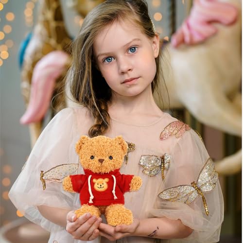 Kuscheltier Teddybär Plüschtier, kuscheltier bär mit Kapuze，Stofftier Schmusetier zum Kuscheln & Spielen, Plüschtier Teddybär Geschenk, Teddybär Plush Dekoration für Jungen und Mädchen (Rot 30cm)