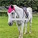 Horse Riding Ear Cover Breathable Meshed Shield Equestrian Equipment Fly Mask Bonnet Net Protector for Horse(Red)