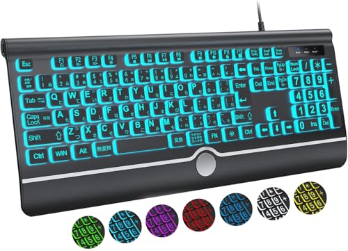 BERGUF 大きめの文字のバックライト付きキーボード、静かなUSB有線コンピューターキーボード、光るホワイトLED付きフルサイズキーボード Windowsデスクトップ、ノートパソコン、PC、ゲームに対応、ブラック (特大)