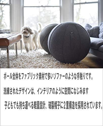 Amazon.co.jp: ビボラ バランスボール Vivora シーティング