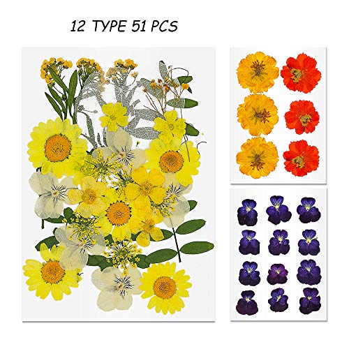 image for TAEERY 51 PCS Real Dried Pressed Flowers Leaves Petals for Crafts - Co