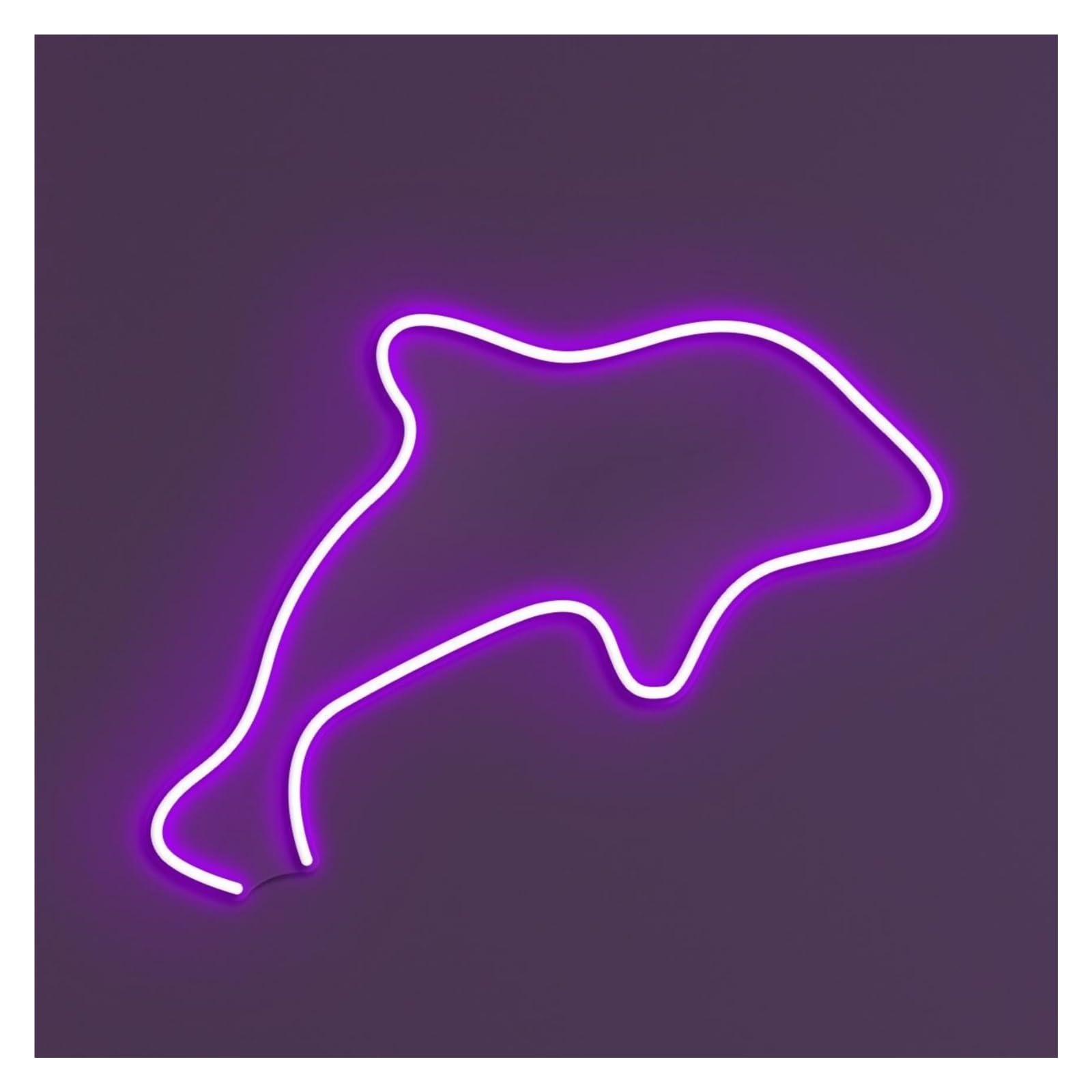 RONGCH Hanging Art Signs Dolphin Neon Sign, Suitable for Ocean Cafe Decor with Brightness Adjustable 30cm(Purple)