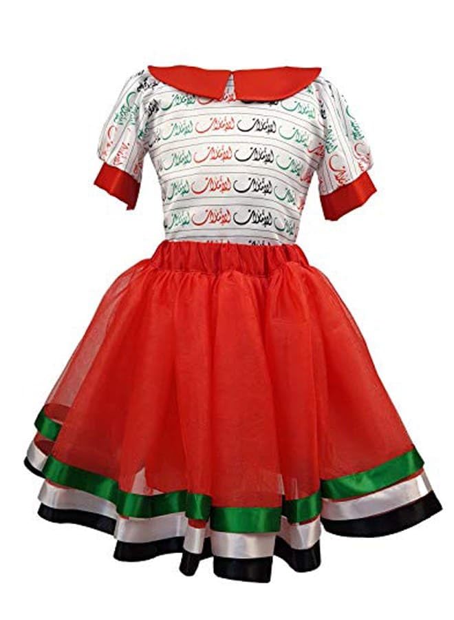 LamoraUAE Flag Day Dress for Girls | National Day Dress for Girls | National Day School Party Dress | Soft and Study Fabric | Half Sleeves with Colar Neck | Fashion Statement for Different Occasions