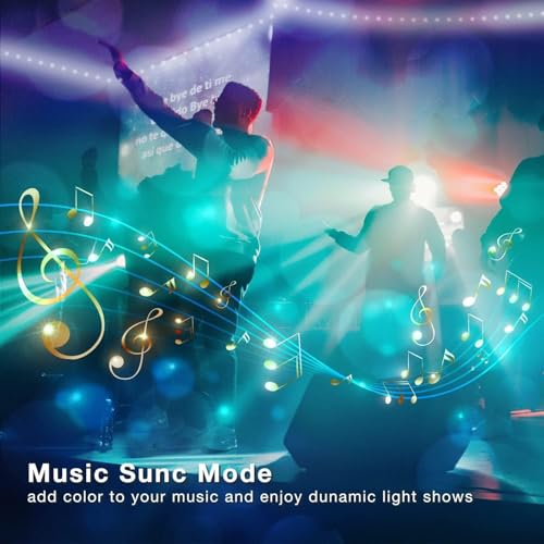 Image of phopollo Bluetooth 24V Led Strip Lights 300ft,LED Lights for Bedroom