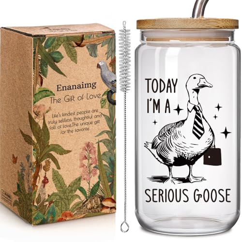 Today I'm a Serious Goose 16oz Glass Cup with Lid and Straw Gift for Gooses Lovers Coworkers Boss Friends, Funny Silly Goose Animal Duck Prefect for Worker Nurse Teacher for Hot and Cold Drink Ice
