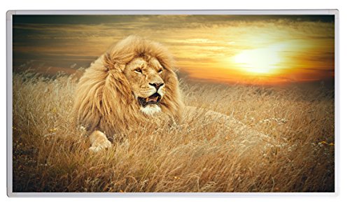 Preisvergleich Produktbild IH Engineering BV Bild Infrarotheizung