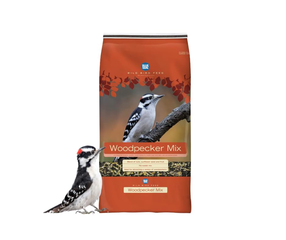 Blue Seal Woodpecker Mix