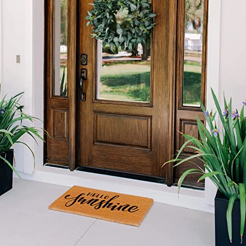 Theodore Magnus Natural Coir Doormat With Non-Slip Backing - 17 X 30 - Outdoor/Indoor - Spring Door Mat - Spring - Hello Sunshine - Coir-1730-15-403 #TOP1