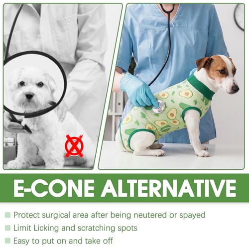 Image of BRKURLEG Small Dog Recovery Suit After Surgery Female Male, Back Zipper Spay Recovery Suit for Dogs & Cats, Anti-Licking Puppy Surgical Onesie for Abdominal Wound, Cone Alternative, Green S