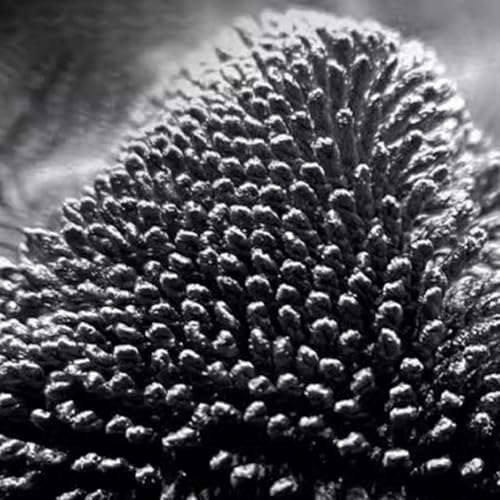 Toallas De Secado Para Lavado De Autos - Toalla De Secado Grande Reutilizable Sin Rayas De 90x60 Cm, Paños De Microfibra Para El Cuidado Exterior Del Automóvil Para Lavado De Camiones, RV, Sedán, Vent - imagen 6