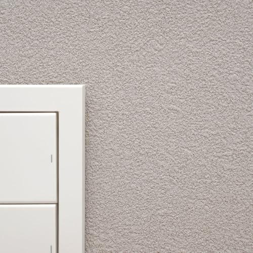 ǎ{ ǎ ̂t NX n Ζڒ O[ DF { 6 TQc SP2541 30 ֐nty󒍐YiLZsz