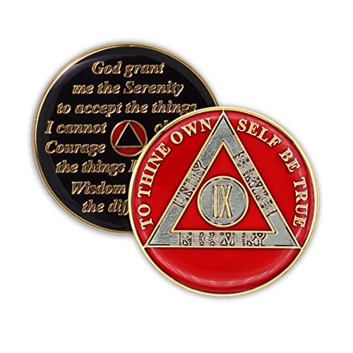 9 Year AA Sobriety Coin Sober Chip Medallion, Recovery Anniversary, Red
