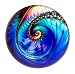 Nautilus Art Under Glass Paperweight (Wind)