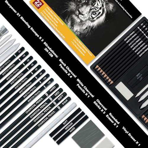 Aenir AC190 Charcoal Pencils For Drawing, Set Of 22, Professional Drawing Sketch Pencils, Art Supplies For Drawing, Sketching, Shading, Artist Pencils thumb #1