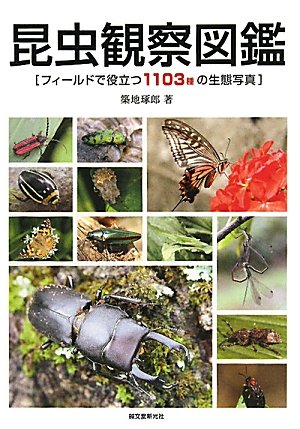 昆虫観察図鑑: フィールドで役立つ1103種の生態写真 | 築地 琢郎