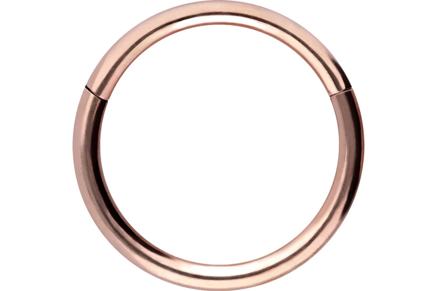 PIERCINGLINE Anillo segmento Clicker de acero quirúrgico – Piercing en oro, plata, rosa, negro o azul – para nariz, tabique, oreja, hélice o tragus — view 60