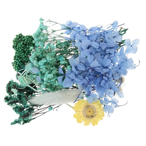 Kit de Flores Secas Naturales para Manualidades