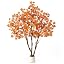 Fall Maple