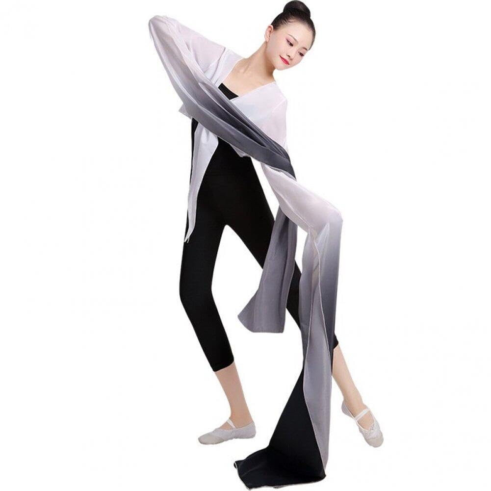 Danlai Chinese Dance Water Sleeves Shuixiu Dance Sleeves Adult Practice Performance Dress Split Opening Sleeves