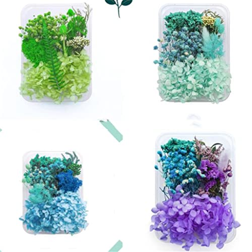 Flores secas reales para manualidades y joyería DIY miniatura 4