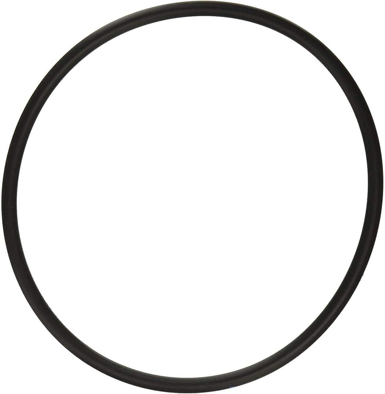 Hayward SX200Z3 O-Ring Replacement for Select Filter