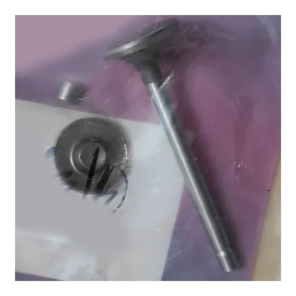 Pljyocdo One Color Valve Fit For Bs 380447 381447 385447 386447 Engine 806419