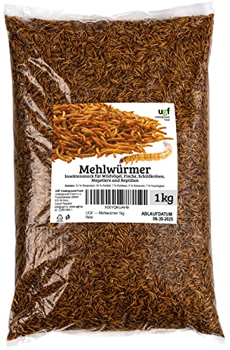 UGF - Gusanos de harina Premium 6,5 litros - 1kg, bocadillos de Insectos para pájaros, hámsteres, erizos, roedores, lagartijas, Tortugas - Comida Universal