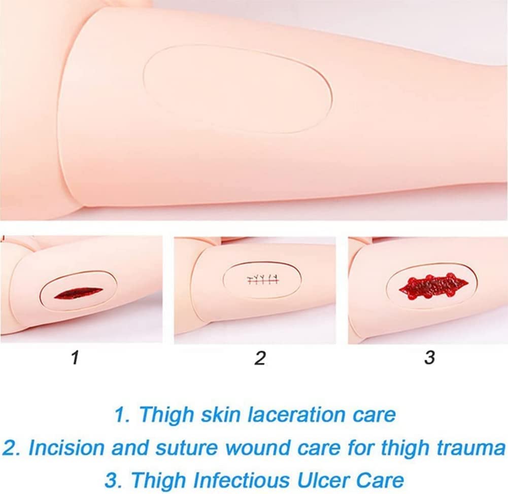 Anatomisches Modell für Patientenversorgung, PVC, 1,5 m, menschliches anatomisches Modell für Studenten, Ausbildung, Lehren, medizinische Ausbildungsfähigkeiten