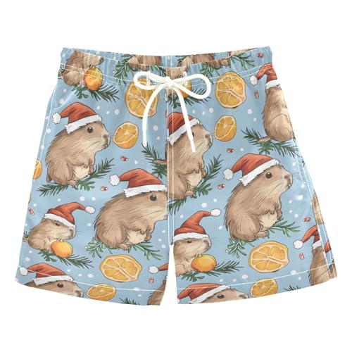 ALAZA Fruit Tangerine Capybaras Boys Quick Dry Beach Board Shorts Kids Swim Trunks Bathing Suit Swimsuit 4T