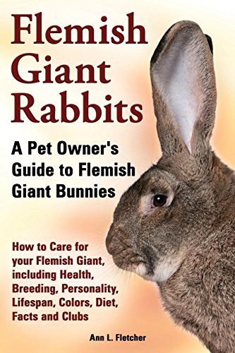 Flemish Giant Rabbits, A Pet Owner's Guide to Flemish Giant Bunnies How to