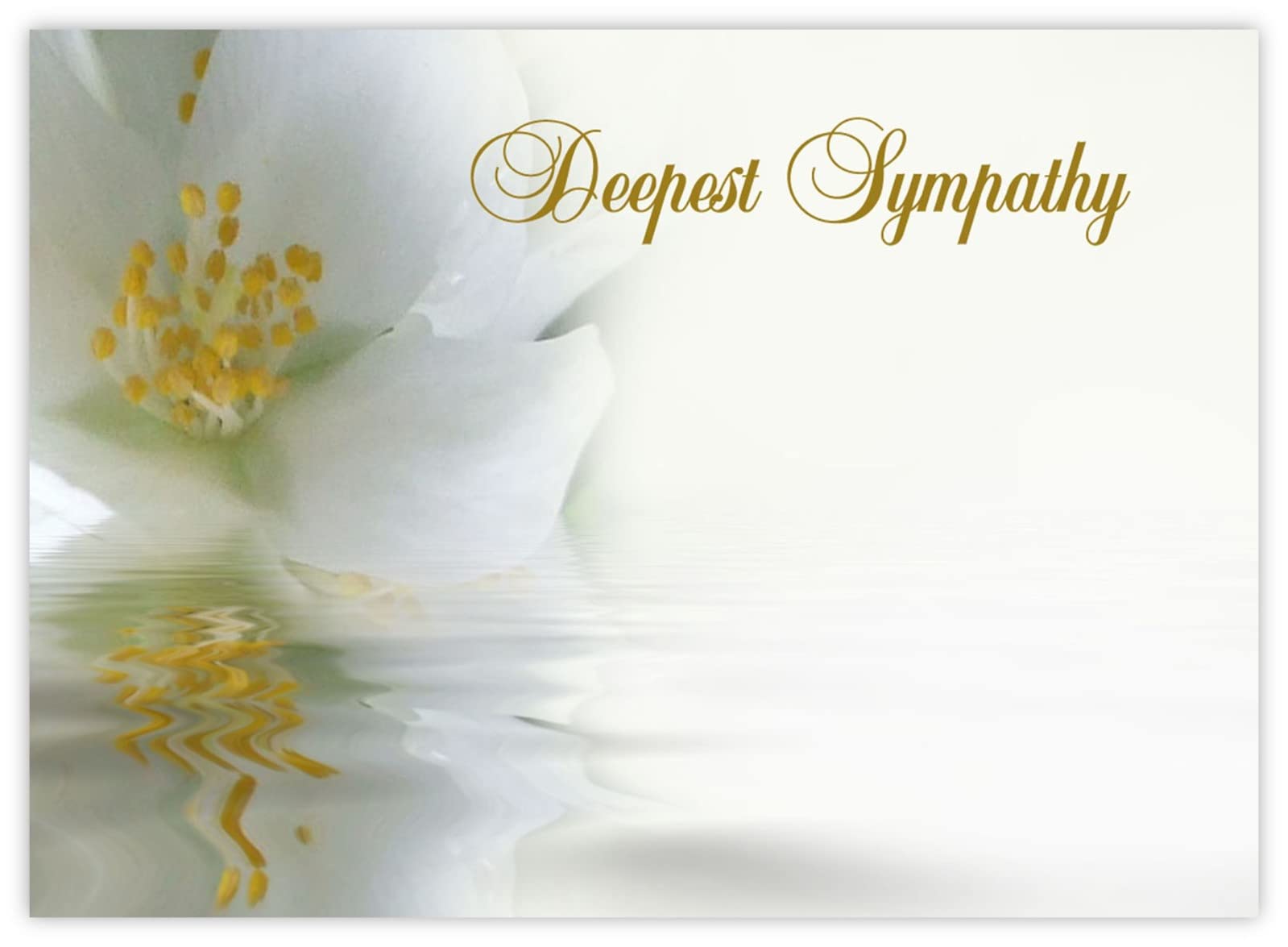 celloexpress Deepest Sympathy (Mock Orange) Flower Message Cards - 90mm x 125mm - Bereavement Florist Card Sympathy Condolences Notes (Pack of 24)