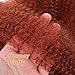 Ginger Afro Twist Hair 12 Inch Marley Braids Hair 350 Springy Afro Twist Hair Afro Kinky Curly Hair Extensions (12 Inch (Pack of 6), 350#)