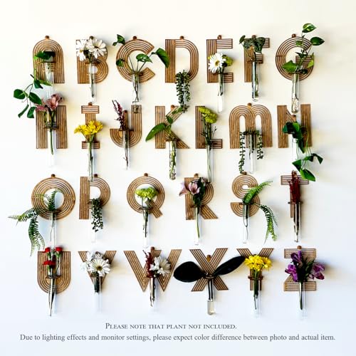 50% Off 4-Pack Letter Wall Propagation Planters for Hanging Plants