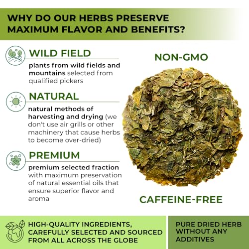 Image of 50 Bags White Mulberry Tea Mulberry Leaf Herbal Tea (Morus Alba) - 50 Count 1.5g Bags Herb Hoja De Morera