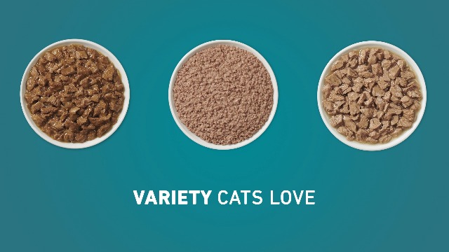 cardboard cat scratching post Cat Cardboard Big Scratcher Browny  Eco-Friendly, Spacious Cat Furniture  for Natural Scratching  Foffiny