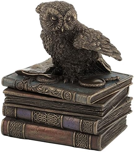 US 4.75 Inch Snow Owl Flap Wings On Books Trinket Box