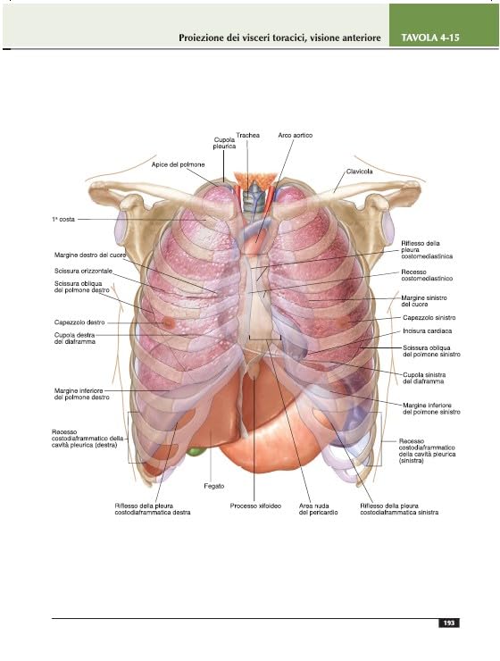 Atlante di anatomia