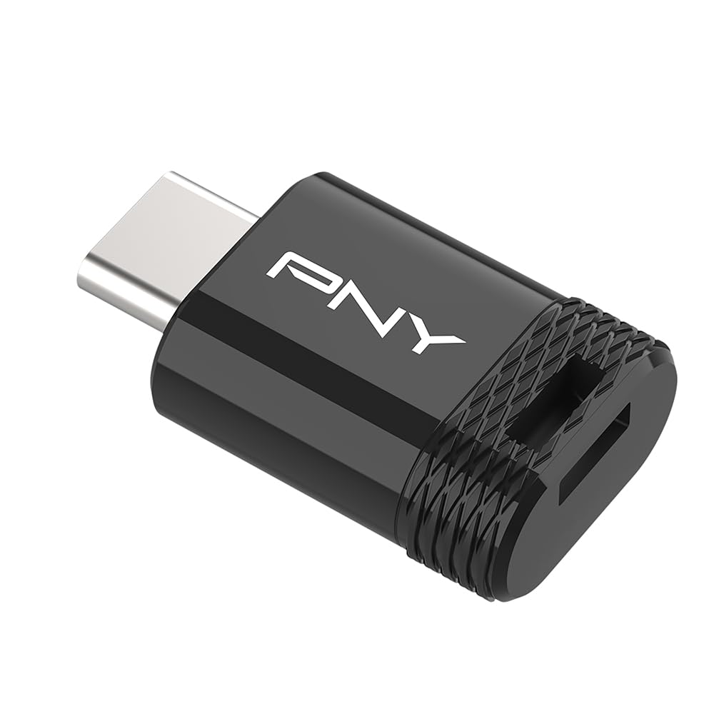 PNY Unità Flash 256GB Elite-X Fit Type-C USB 3.2 – Prestazioni avanzate Fino a 200MB/s in lettura, e 100MB/s in scrittura, comoda archiviazione dati portatile, design ultra compatto, connettore Type-C