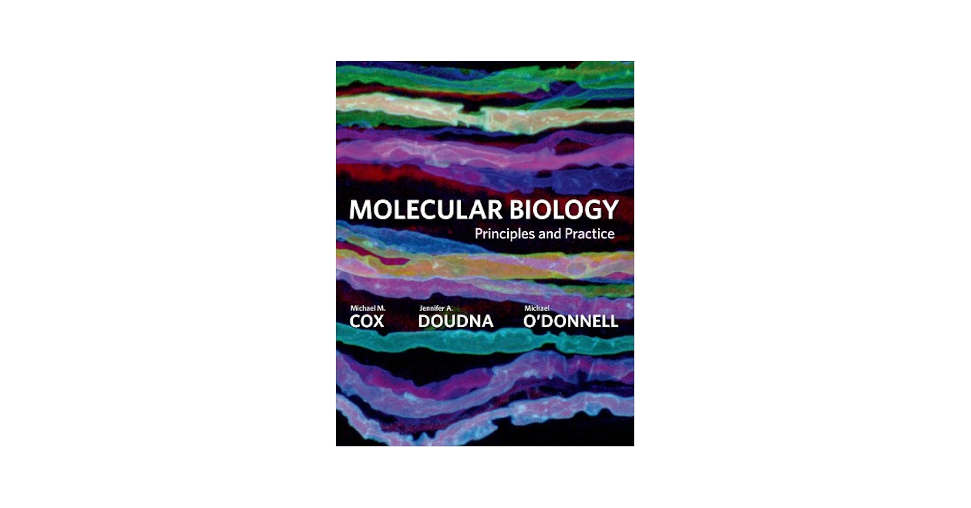 語学+参考書 Molecular Biology Molecular Biology: Principles and Practice: Cox, Michael