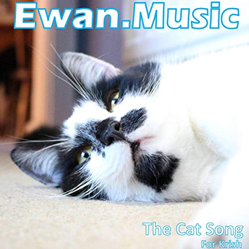 Play The Cat Song by Ewan.Music on Amazon Music