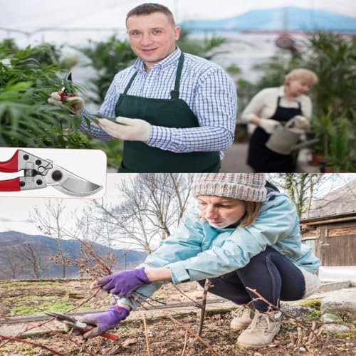 Image of Professional Garden Pruning Shears, Spring-Loaded Secateurs with Steel Blade, Red Comfort Grip Handles, 20.5 cm