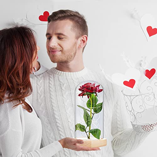 Dream Loom Beauty and The Beast Rose, Eternal Fake Flowers Enchanted Rose in Transparent Dome with LED Light Strip - Image 2