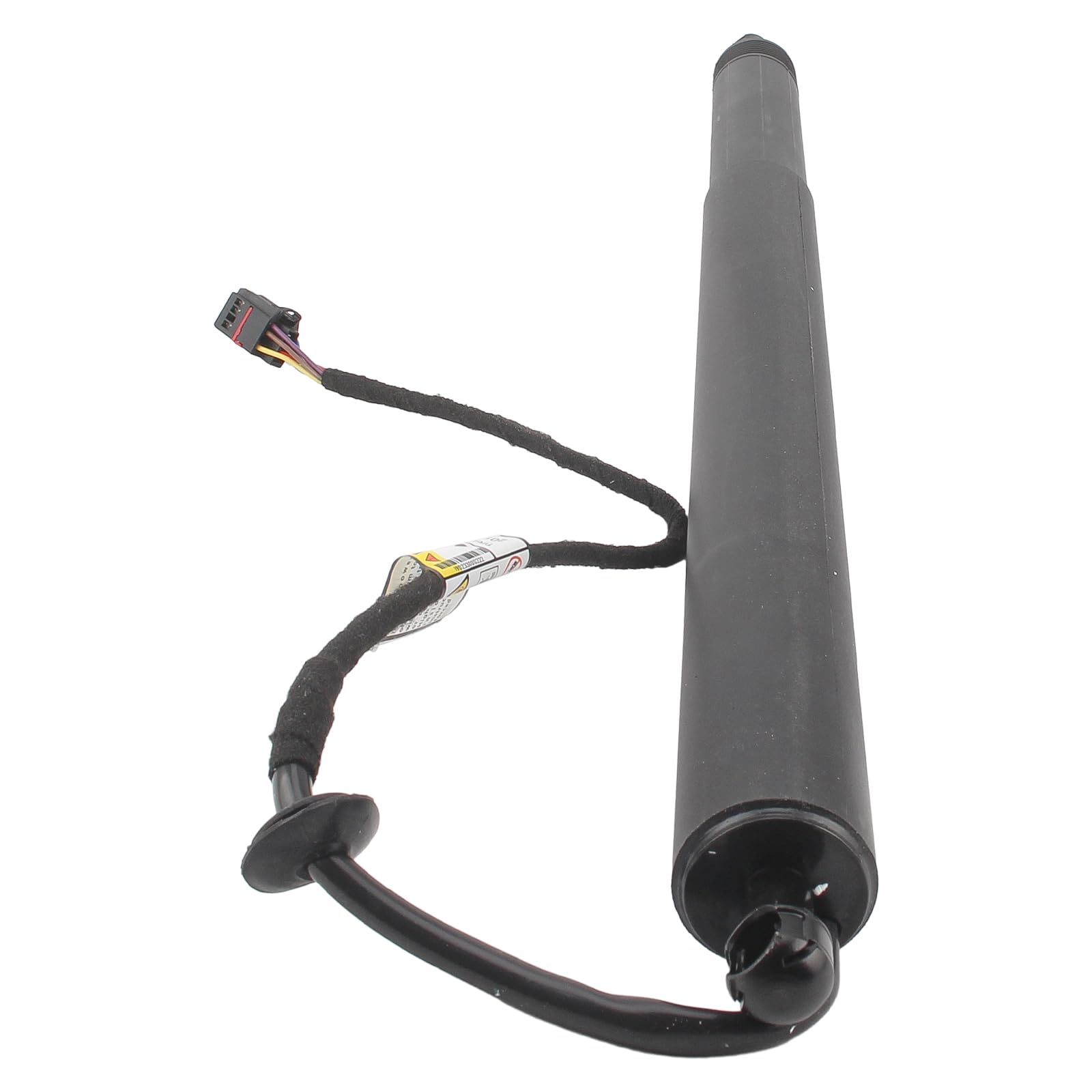 Amazon.com: AUTOKAY Power Lift Supports Rear Left and Right Side 
