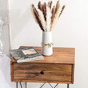 Pampas Grass, 45cm (30 PCS) Natural Dried Pampas Grass for Home Décor and Design Arrangements, Small Pampas Grass, Short…