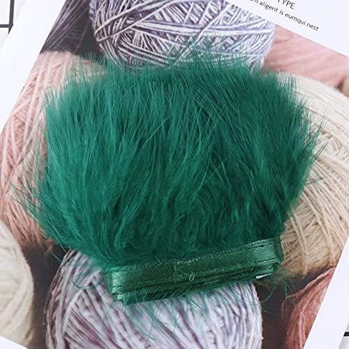 TTBDAN Plumas de marabú de Colores teñidas de 1 Metro, Adornos de Flecos para Ropa, decoración de Costura, 8-10 CM, Cinta de Plumas Suaves para Manualidades, Pluma