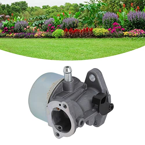 Troy Bilt 6,5 Vergaser Kit für 6150 650 Vergaser Filter-Kit Zündkerze Ersatz für 6150 650 Motor Ersatz