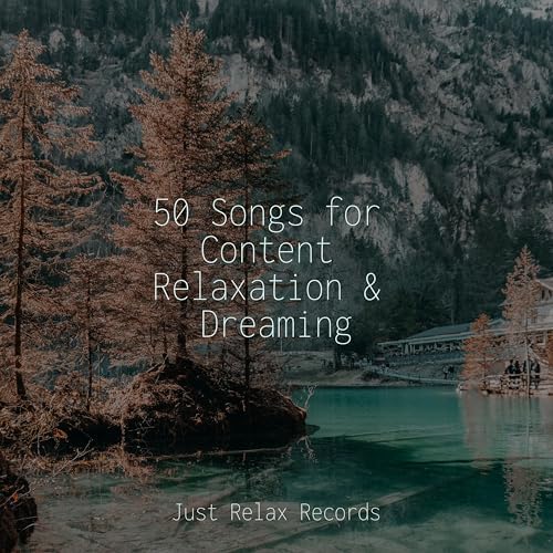 Play 50 Songs for Content Relaxation & Dreaming by Lounge Music Café